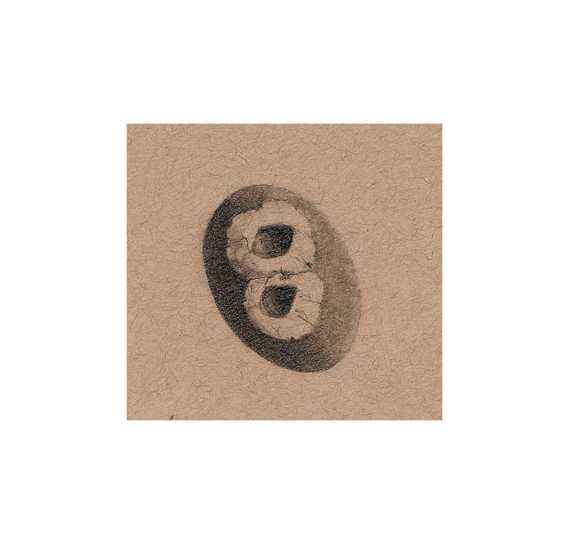 “Barnacle #3” - Kristen Etmund